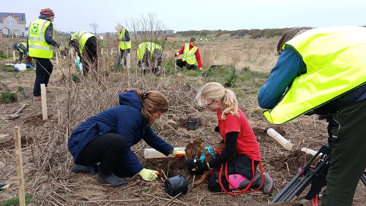 Volunteers planting native scrub at Sandilands